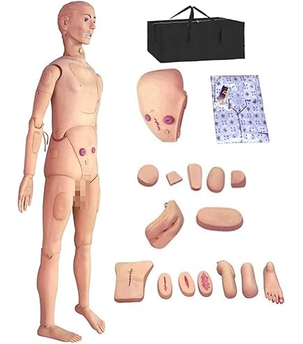 Amazon.co.jp: 人体模型 医療 看護実習モデル人形 医療 多機能